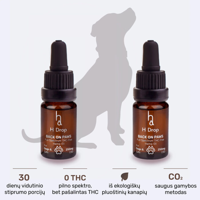 CBD augintiniams